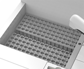 AG庄嫌驻(中国)集团