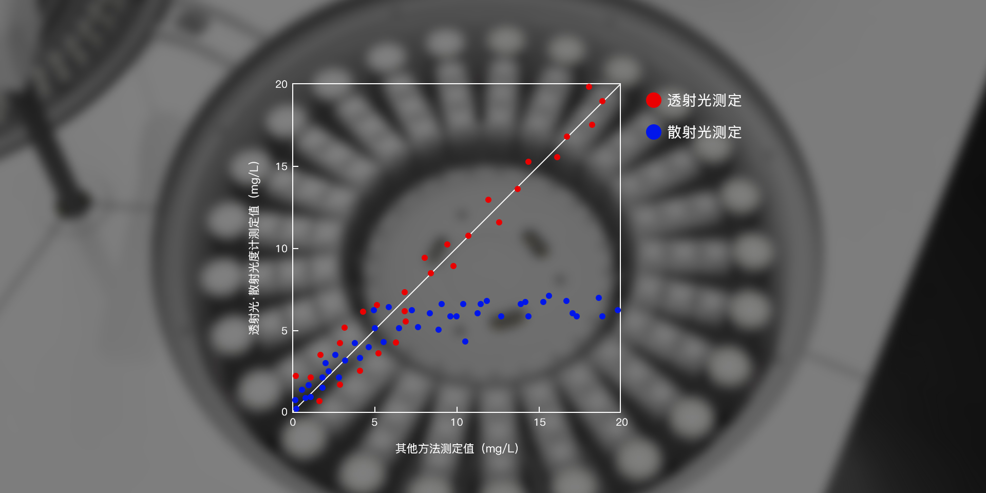 AG庄嫌驻(中国)集团