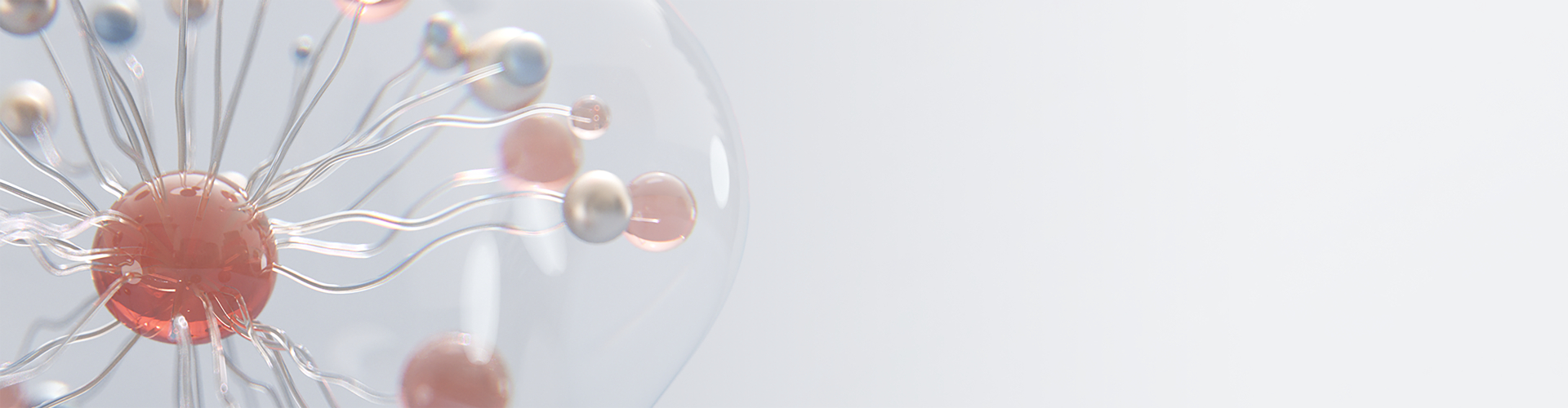 AG庄嫌驻(中国)集团