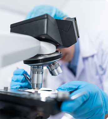 AG庄嫌驻(中国)集团